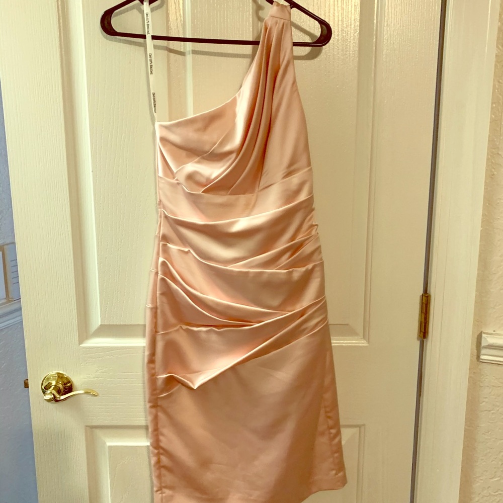 Blush knee length off shoulder blush dress